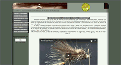 Desktop Screenshot of amoscaguias.com